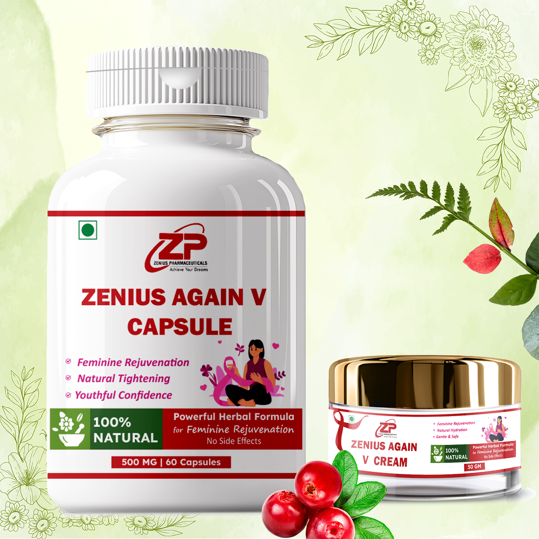 Zenius Again V Kit